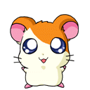 005.gif (52950 bytes)